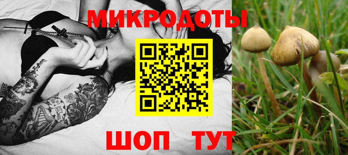 Галлюциногенные грибы прущие грибы Вичуга