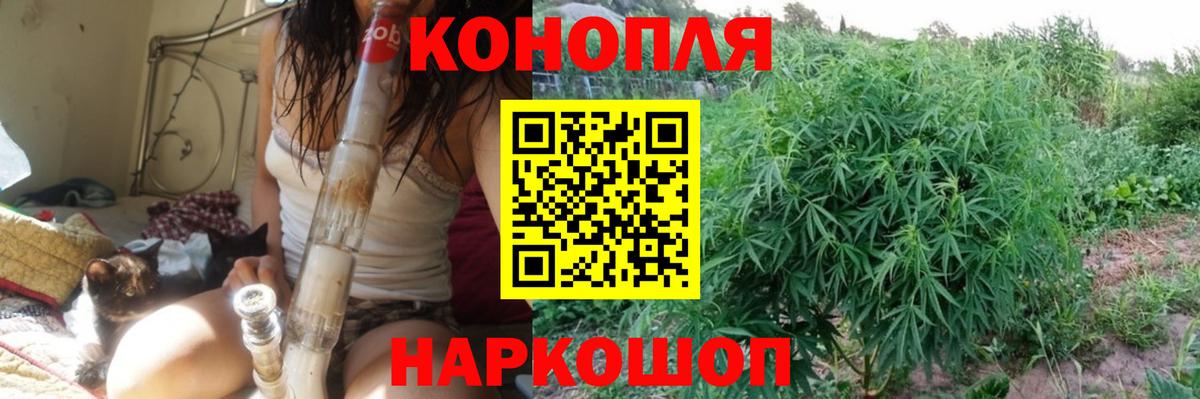 Бошки марихуана план  Вход с VPN  Канабис план  Каннабис гибрид  Канабис SATIVA & INDICA  Вичуга 